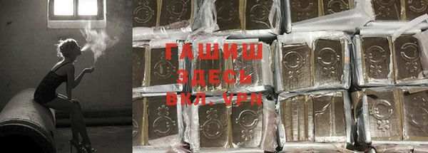 apvp Инта