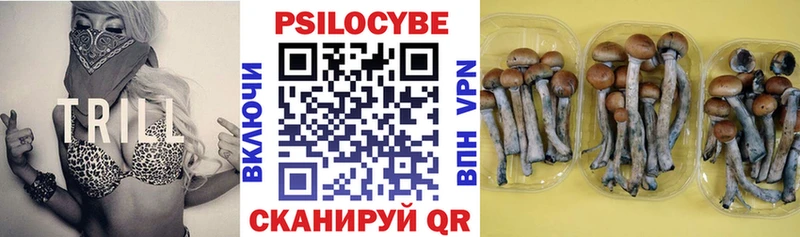 Псилоцибиновые грибы MAGIC MUSHROOMS Киселёвск