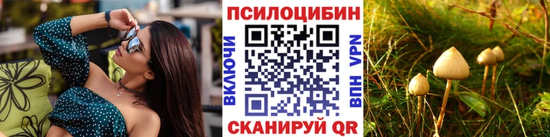 Псилоцибиновые грибы Psilocybine cubensis  Купить  Киселёвск 