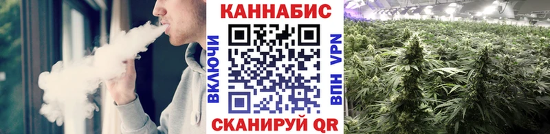 Каннабис AK-47 Киселёвск